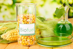 Baile An Truiseil biofuel availability